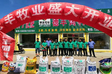 德豐場(chǎng)景展